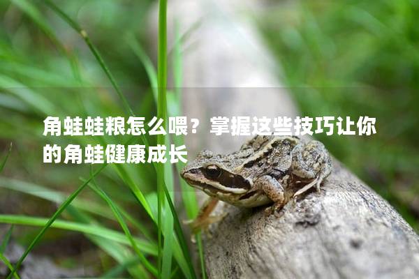 角蛙蛙糧怎么喂？掌握這些技巧讓你的角蛙健康成長